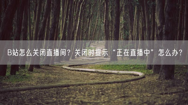 B站怎么关闭直播间？关闭时提示“正在直播中”怎么办？