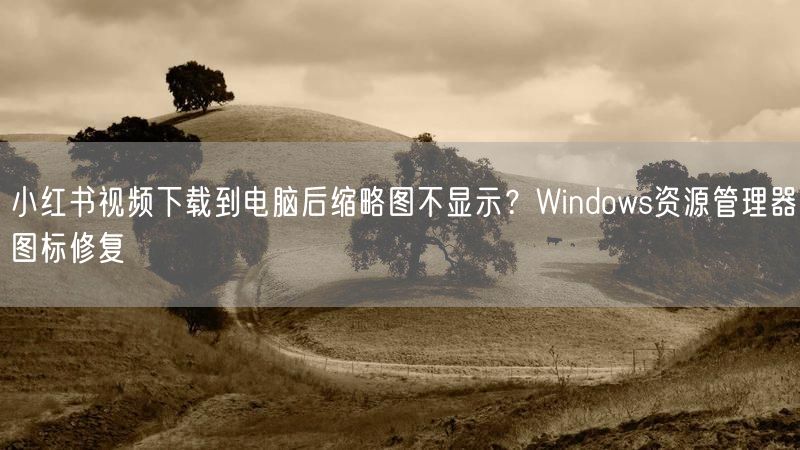 小红书视频下载到电脑后缩略图不显示？Windows资源管理器图标修复