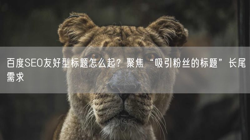 百度SEO友好型标题怎么起？聚焦“吸引粉丝的标题”长尾需求