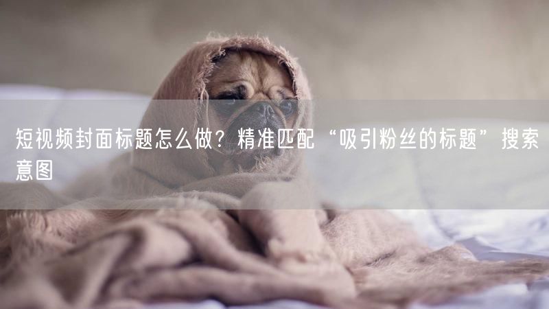 短视频封面标题怎么做？精准匹配“吸引粉丝的标题”搜索意图