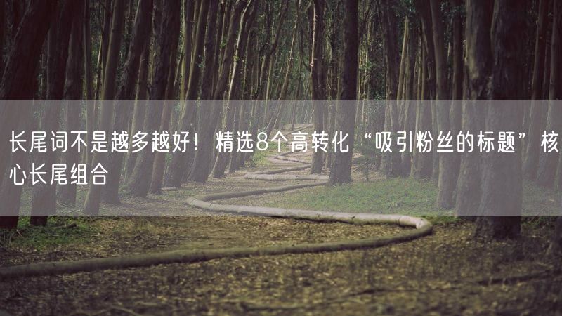 长尾词不是越多越好！精选8个高转化“吸引粉丝的标题”核心长尾组合