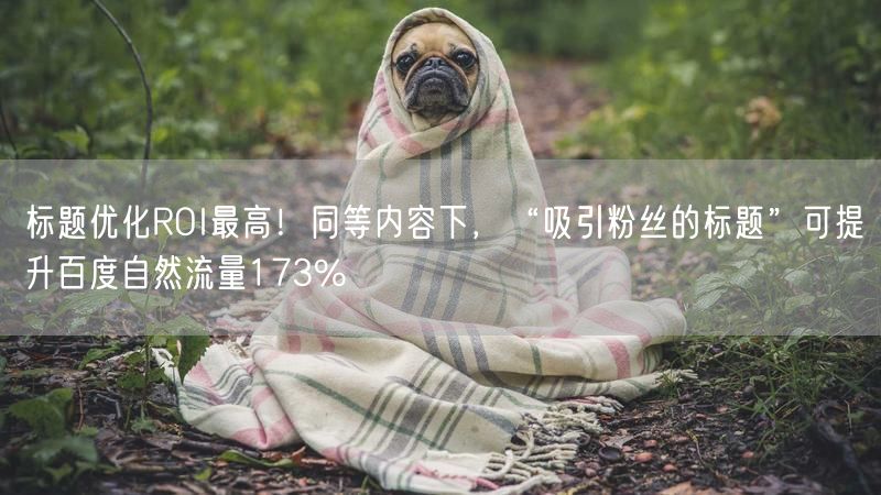 标题优化ROI最高！同等内容下，“吸引粉丝的标题”可提升百度自然流量173%