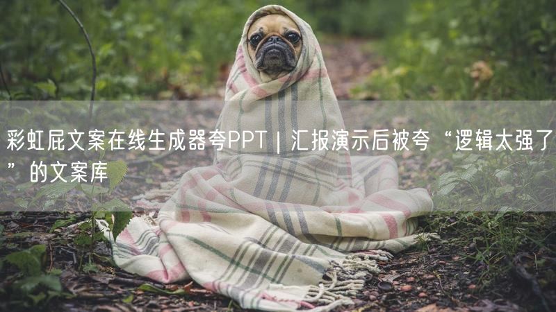 彩虹屁文案在线生成器夸PPT｜汇报演示后被夸“逻辑太强了”的文案库