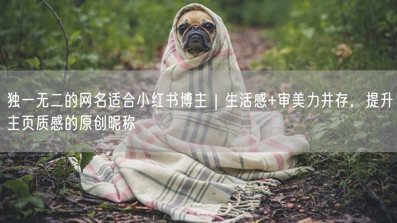 独一无二的网名适合小红书博主｜生活感+审美力并存，提升主页质感的原创昵称