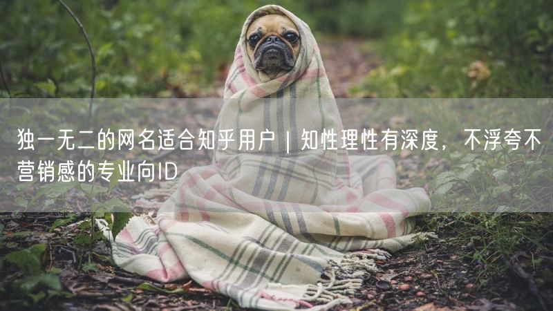 独一无二的网名适合知乎用户｜知性理性有深度，不浮夸不营销感的专业向ID