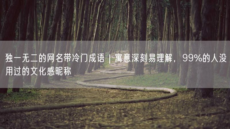 独一无二的网名带冷门成语｜寓意深刻易理解，99%的人没用过的文化感昵称