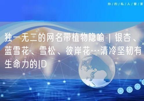 独一无二的网名带植物隐喻｜银杏、蓝雪花、雪松、彼岸花…清冷坚韧有生命力的ID