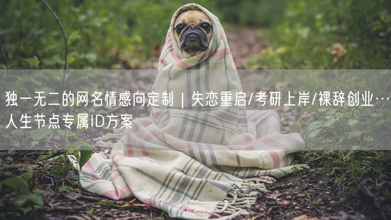 独一无二的网名情感向定制｜失恋重启/考研上岸/裸辞创业…人生节点专属ID方案