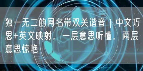 独一无二的网名带双关谐音｜中文巧思+英文映射，一层意思听懂，两层意思惊艳