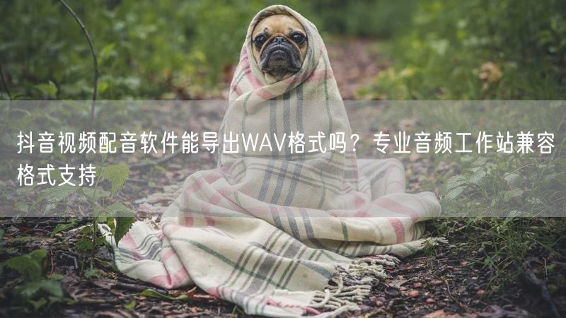 抖音视频配音软件能导出WAV格式吗？专业音频工作站兼容格式支持