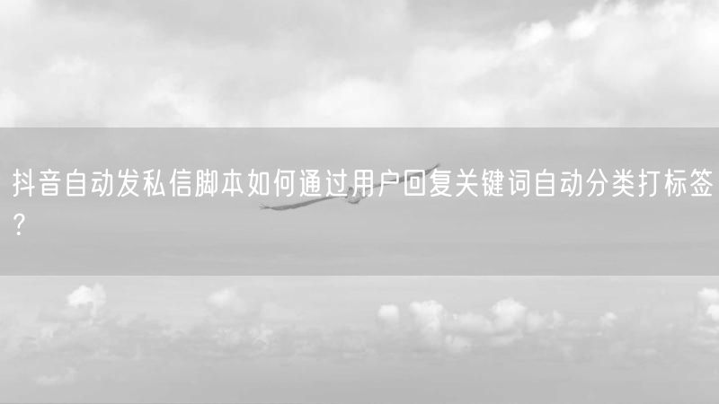 抖音自动发私信脚本如何通过用户回复关键词自动分类打标签？