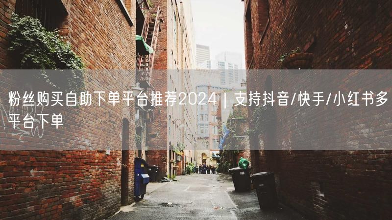 粉丝购买自助下单平台推荐2024｜支持抖音/快手/小红书多平台下单