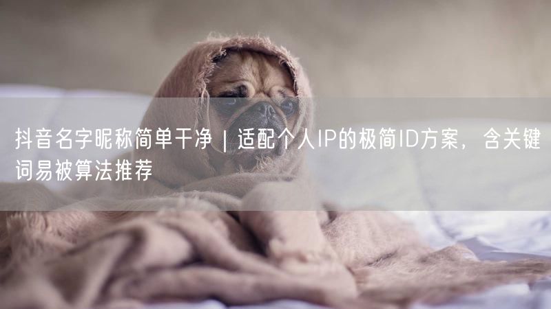 抖音名字昵称简单干净｜适配个人IP的极简ID方案，含关键词易被算法推荐