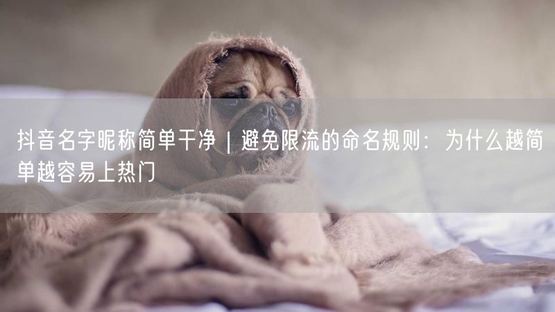抖音名字昵称简单干净｜避免限流的命名规则：为什么越简单越容易上热门