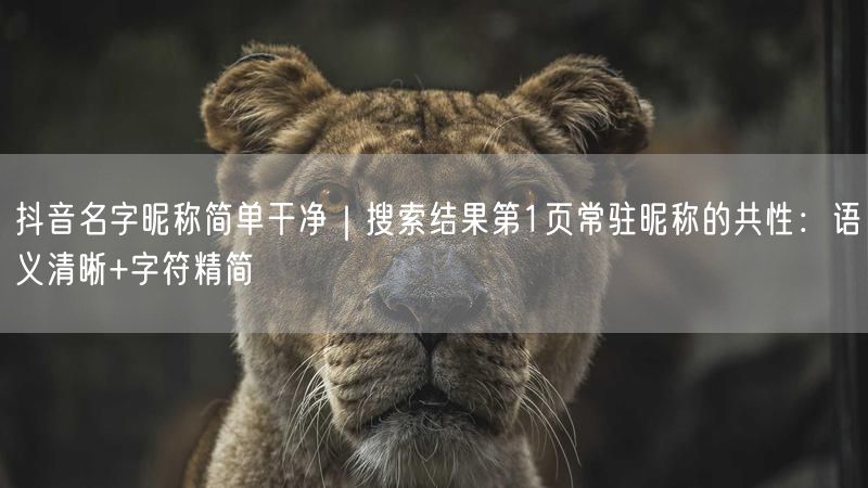 抖音名字昵称简单干净｜搜索结果第1页常驻昵称的共性：语义清晰+字符精简