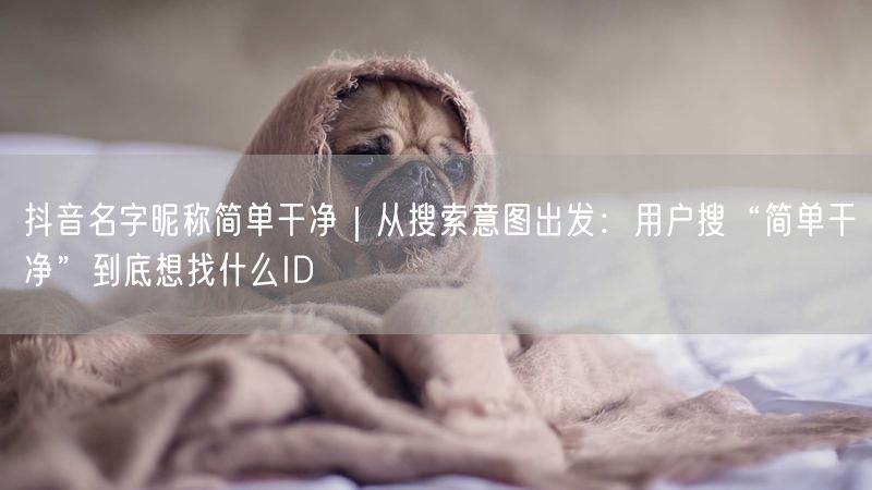 抖音名字昵称简单干净｜从搜索意图出发：用户搜“简单干净”到底想找什么ID