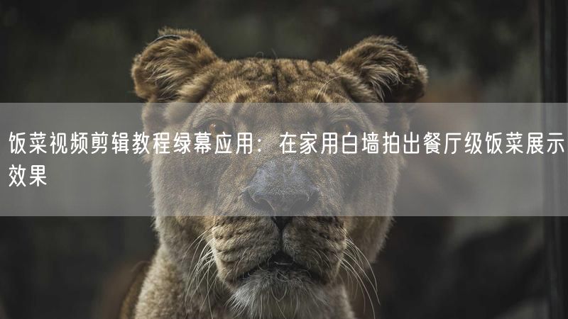 饭菜视频剪辑教程绿幕应用：在家用白墙拍出餐厅级饭菜展示效果