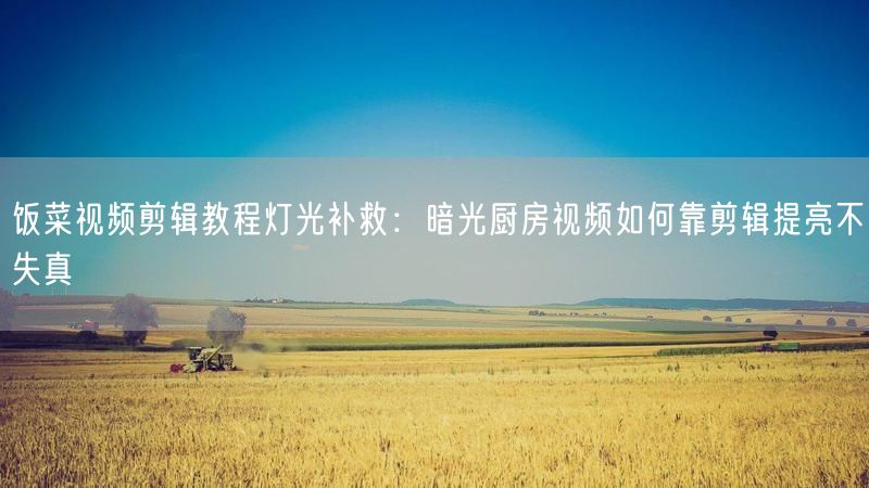 饭菜视频剪辑教程灯光补救：暗光厨房视频如何靠剪辑提亮不失真