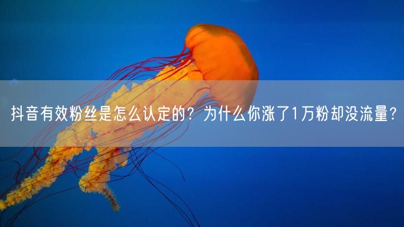 抖音有效粉丝是怎么认定的？为什么你涨了1万粉却没流量？