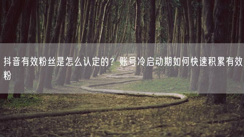 抖音有效粉丝是怎么认定的？账号冷启动期如何快速积累有效粉