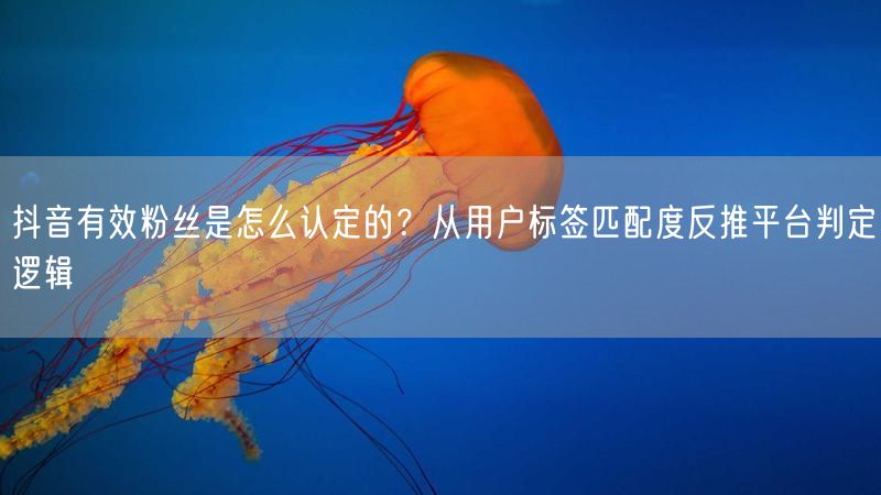 抖音有效粉丝是怎么认定的？从用户标签匹配度反推平台判定逻辑