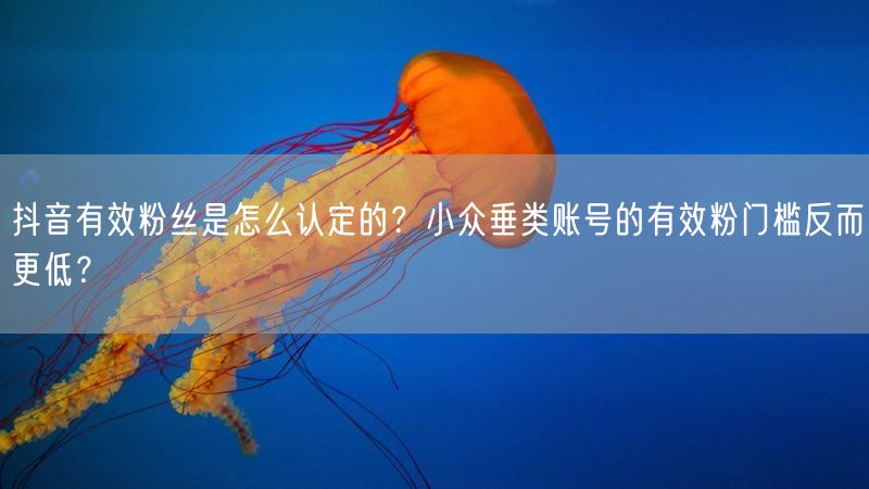 抖音有效粉丝是怎么认定的？小众垂类账号的有效粉门槛反而更低？