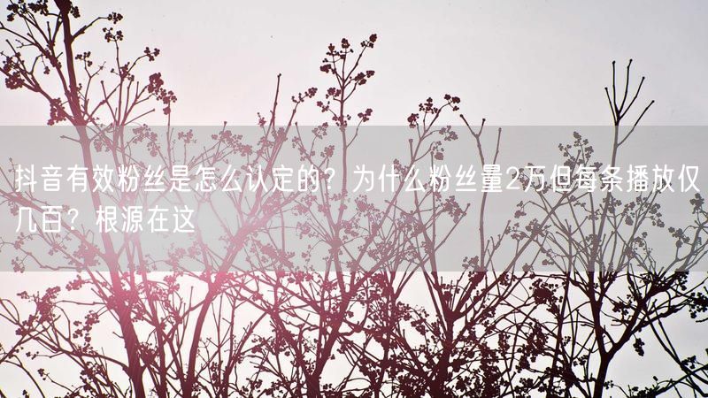 抖音有效粉丝是怎么认定的？为什么粉丝量2万但每条播放仅几百？根源在这