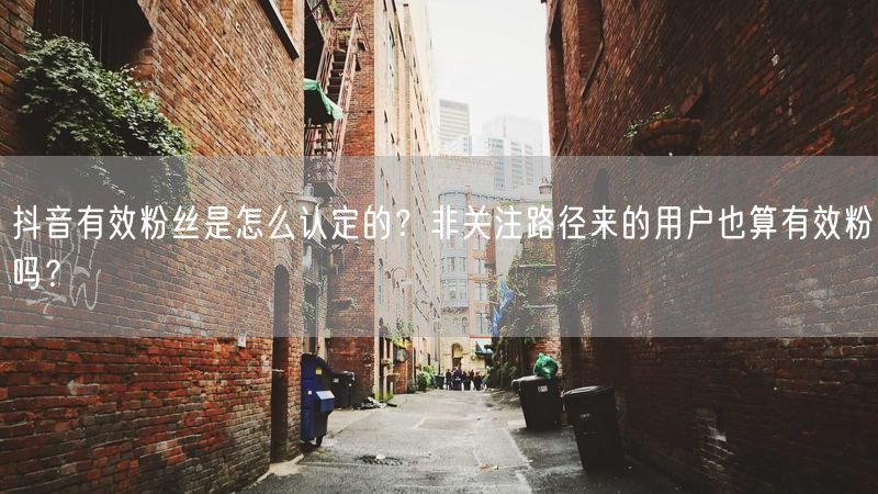 抖音有效粉丝是怎么认定的？非关注路径来的用户也算有效粉吗？