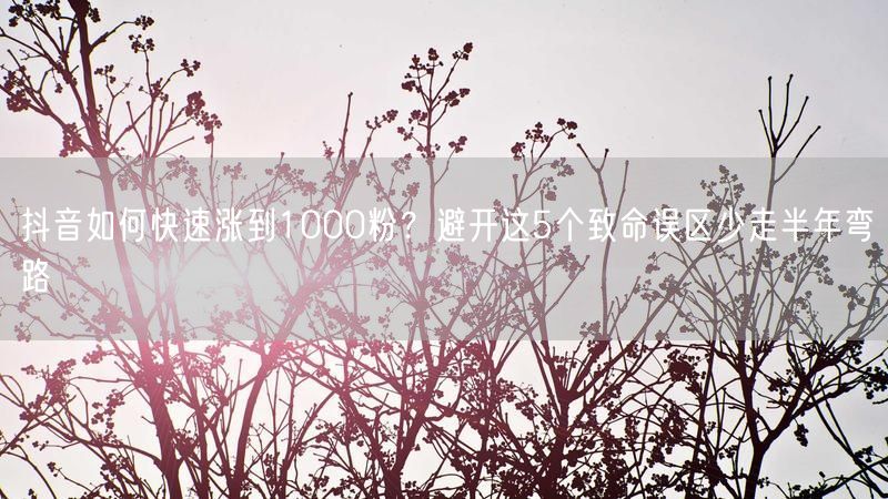 抖音如何快速涨到1000粉？避开这5个致命误区少走半年弯路