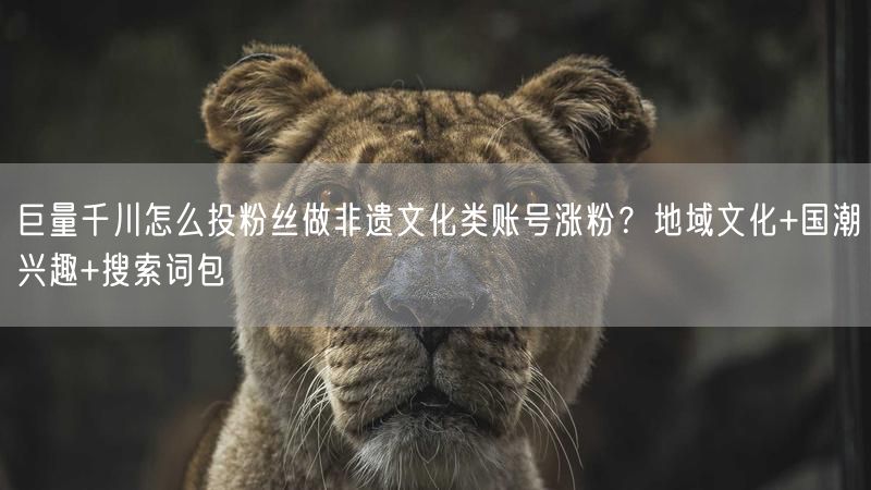 巨量千川怎么投粉丝做非遗文化类账号涨粉？地域文化+国潮兴趣+搜索词包