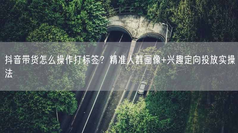 抖音带货怎么操作打标签？精准人群画像+兴趣定向投放实操法
