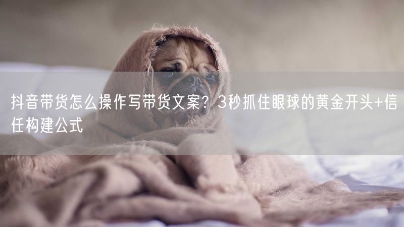 抖音带货怎么操作写带货文案？3秒抓住眼球的黄金开头+信任构建公式