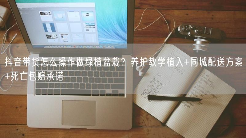 抖音带货怎么操作做绿植盆栽？养护教学植入+同城配送方案+死亡包赔承诺