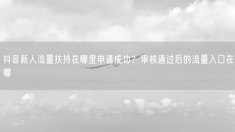 抖音新人流量扶持在哪里申请成功？审核通过后的流量入口在哪