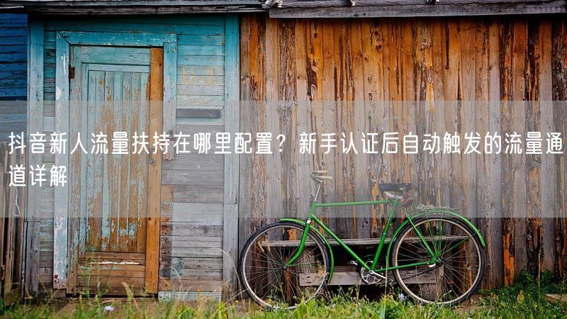 抖音新人流量扶持在哪里配置？新手认证后自动触发的流量通道详解