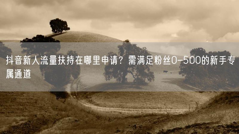 抖音新人流量扶持在哪里申请？需满足粉丝0-500的新手专属通道
