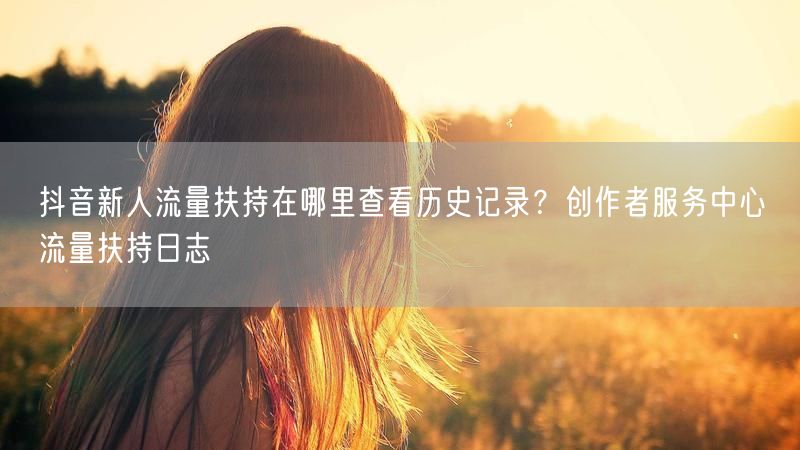 抖音新人流量扶持在哪里查看历史记录？创作者服务中心→流量扶持日志