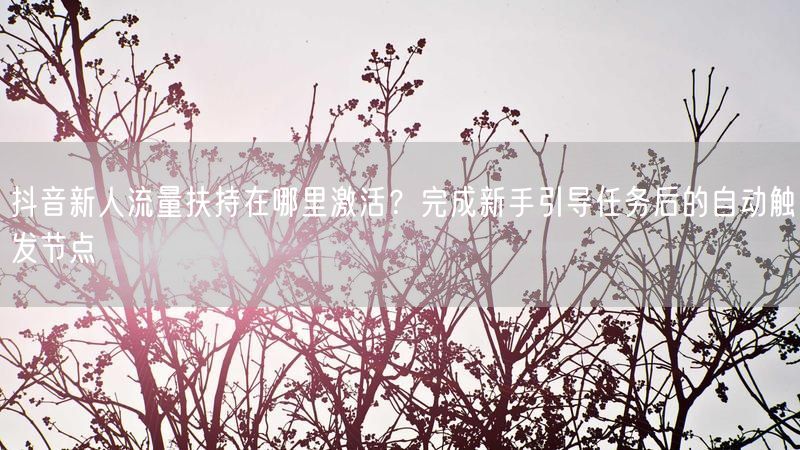 抖音新人流量扶持在哪里激活？完成新手引导任务后的自动触发节点