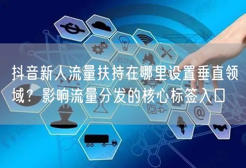 抖音新人流量扶持在哪里设置垂直领域？影响流量分发的核心标签入口
