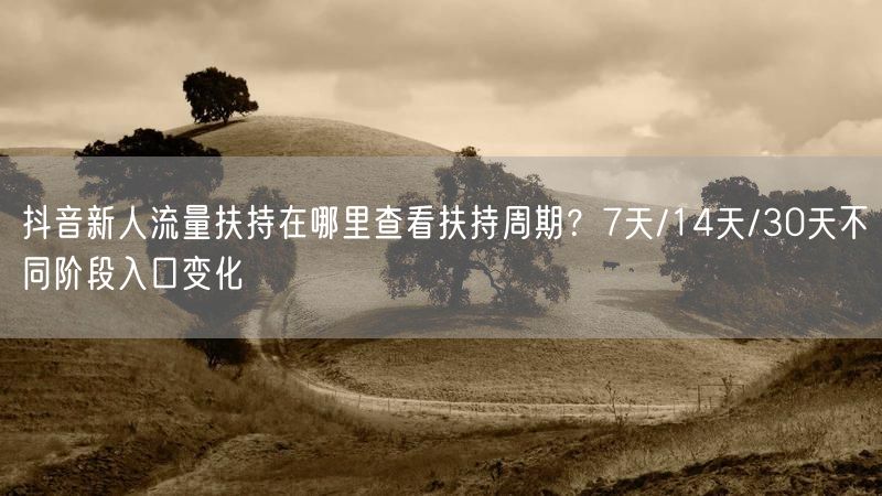 抖音新人流量扶持在哪里查看扶持周期？7天/14天/30天不同阶段入口变化