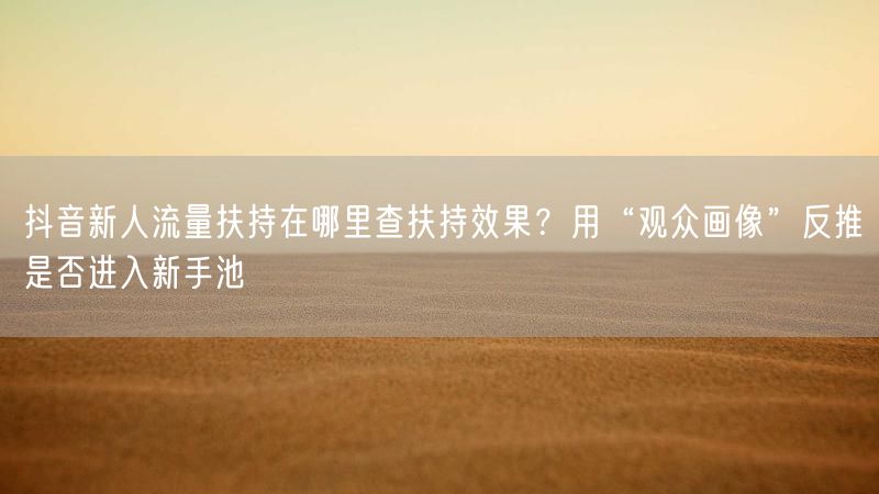 抖音新人流量扶持在哪里查扶持效果？用“观众画像”反推是否进入新手池