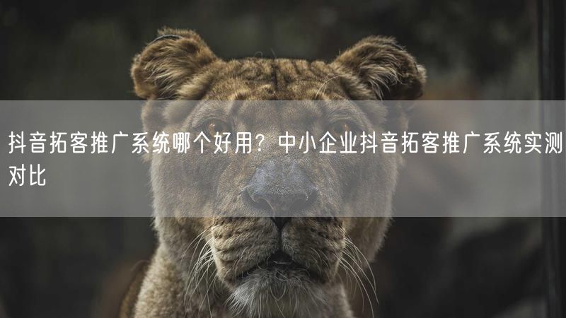 抖音拓客推广系统哪个好用？中小企业抖音拓客推广系统实测对比