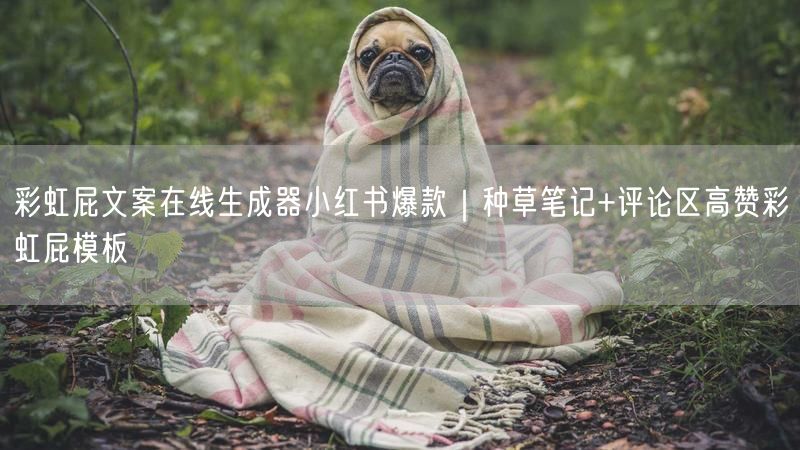 彩虹屁文案在线生成器小红书爆款｜种草笔记+评论区高赞彩虹屁模板