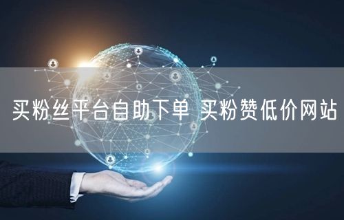 买粉丝平台自助下单 买粉赞低价网站