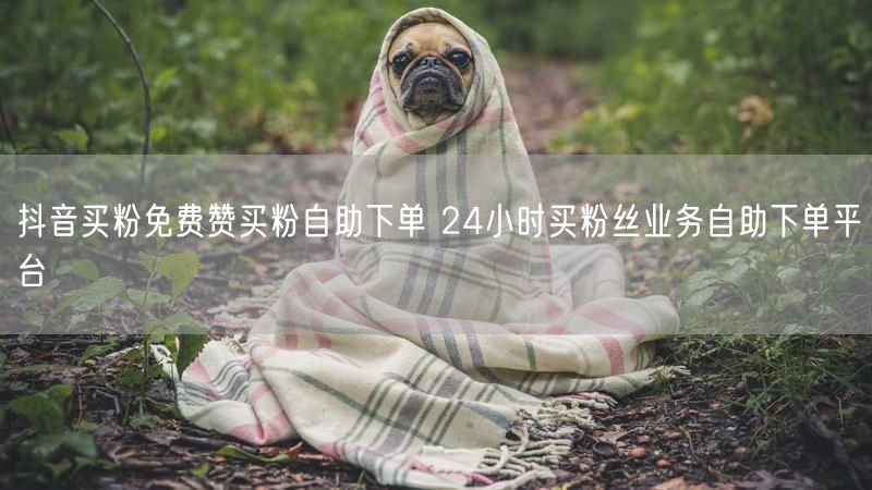 抖音买粉免费赞买粉自助下单 24小时买粉丝业务自助下单平台