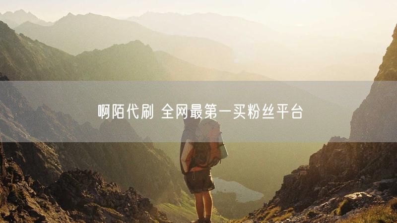 啊陌代刷 全网最第一买粉丝平台