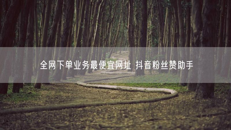 全网下单业务最便宜网址 抖音粉丝赞助手