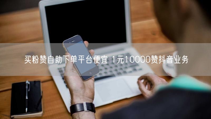 买粉赞自助下单平台便宜 1元10000赞抖音业务