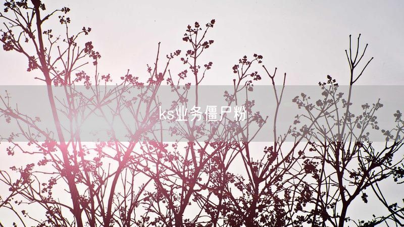 ks业务僵尸粉