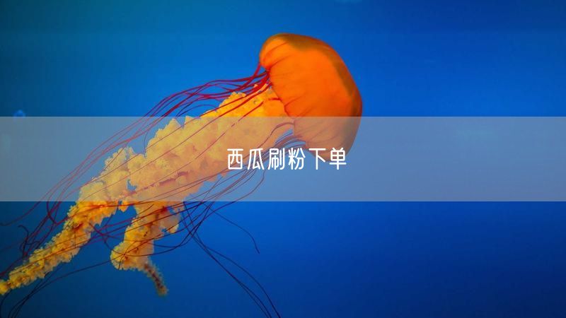 西瓜刷粉下单